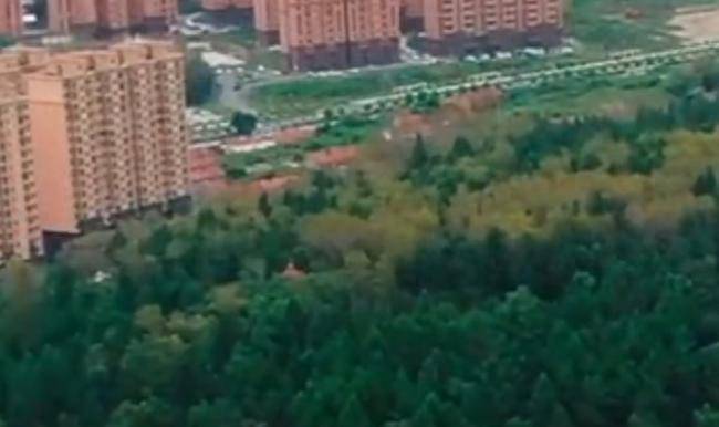 黑龙江一地村民称干农活时看到东北虎，林草局已封锁相关区域